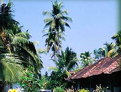 Coconut Lagoon - Kumarakom 
