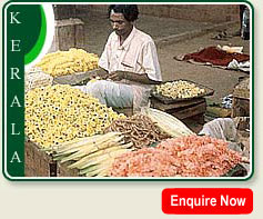 Flower Vendor in Madras