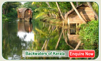Kerala  Back water