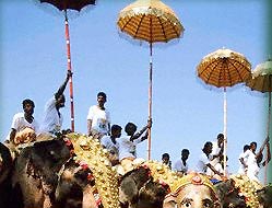 Decorated Elephants During Kerala Festival