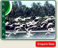 Kumarakom Bird Sanctuary