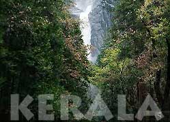 Scenic View - Kerala