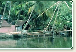 Trivandrum Backwaters 